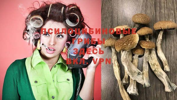 метамфетамин Горнозаводск