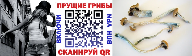 Псилоцибиновые грибы GOLDEN TEACHER  Купить  Ковров 